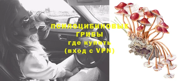 индика Балахна