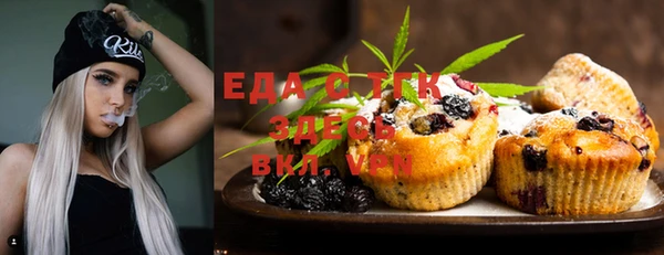 индика Балахна