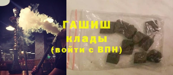 индика Балахна
