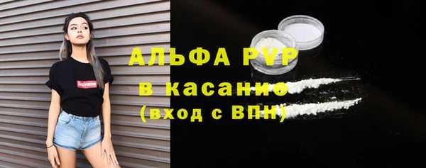 индика Балахна