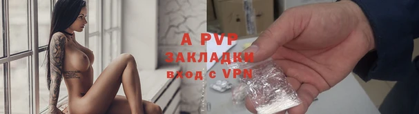 индика Балахна