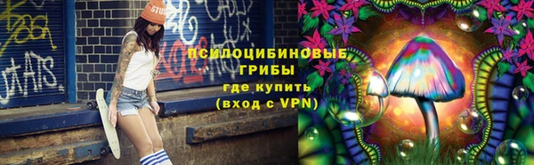 индика Балахна
